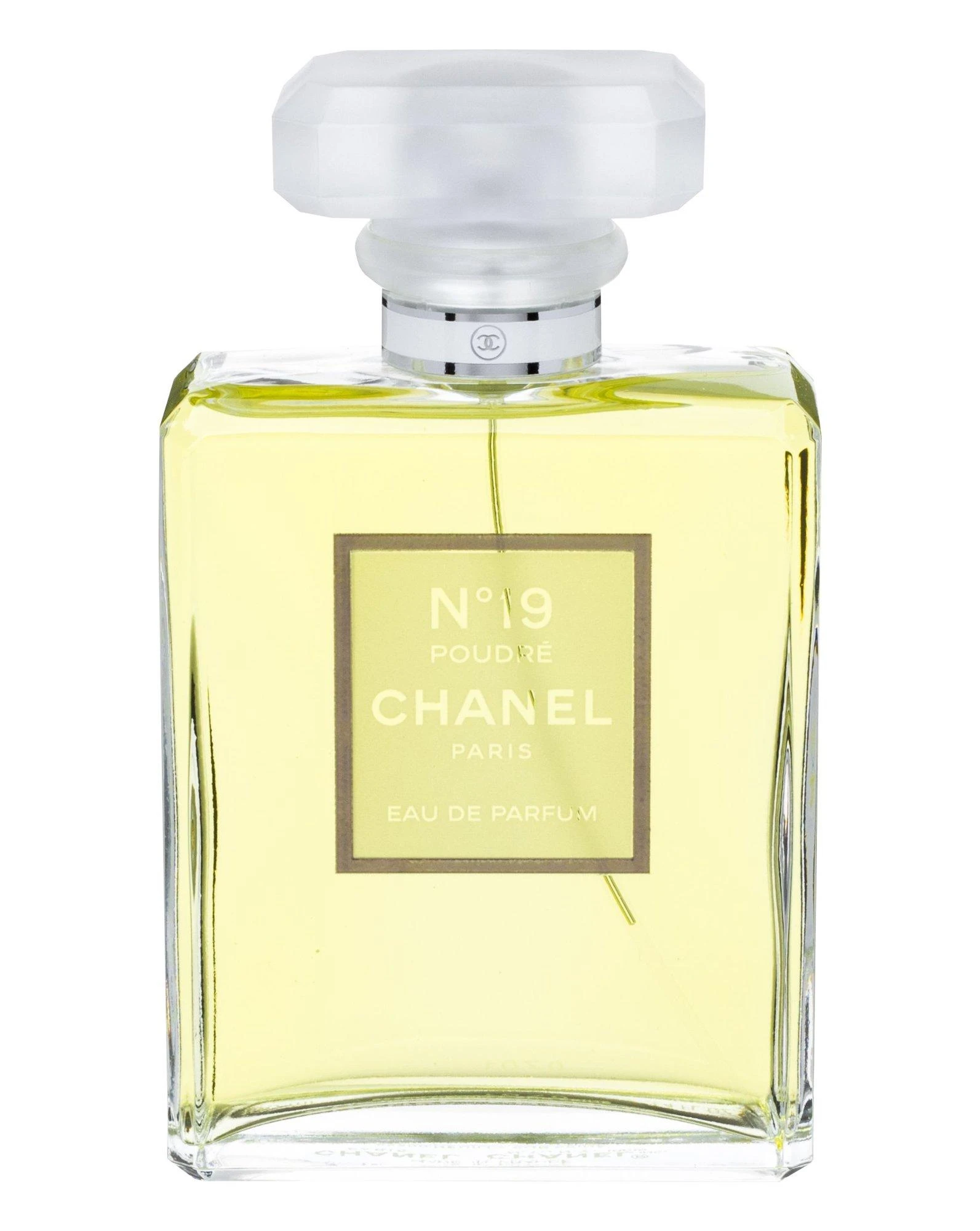 Chanel No 19 Poudre EDP parfumuotas vanduo moterims, 100 ml