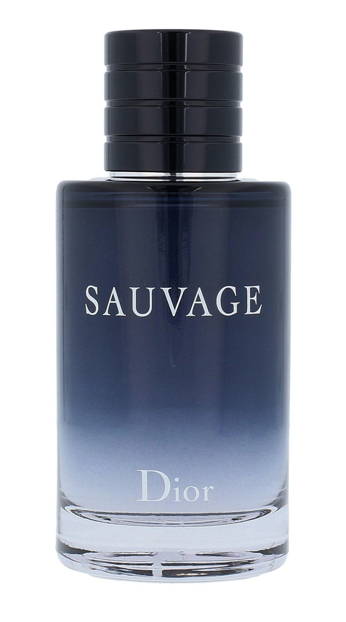 Christian Dior Sauvage EDT tualetinis vanduo vyrams, 100 ml