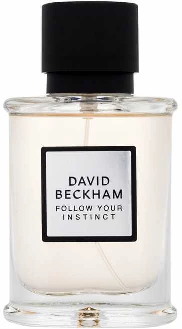 David Beckham Follow Your Instinct EDP parfumuotas vanduo vyrams, 50 ml