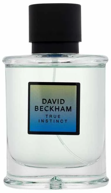 David Beckham True Instinct EDP parfumuotas vanduo vyrams, 75 ml