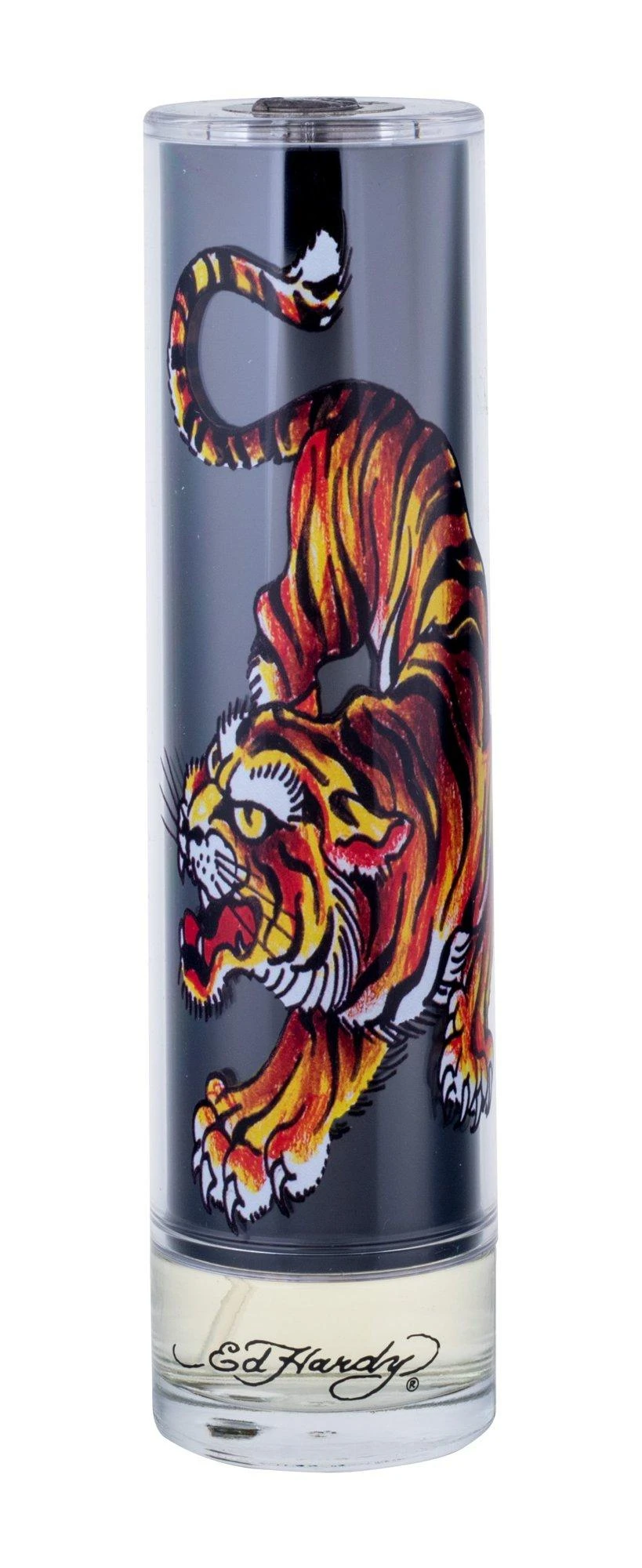 Christian Audigier Ed Hardy Men´s EDT tualetinis vanduo vyrams, 100 ml