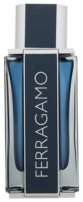 Salvatore Ferragamo Ferragamo Intense Leather EDP parfumuotas vanduo vyrams, 100 ml