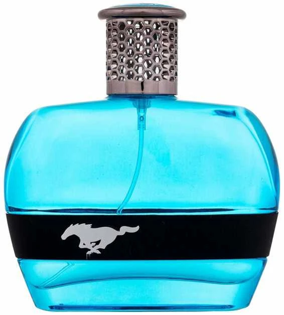 Ford Mustang Mustang Mėlyna EDT tualetinis vanduo vyrams, 100 ml