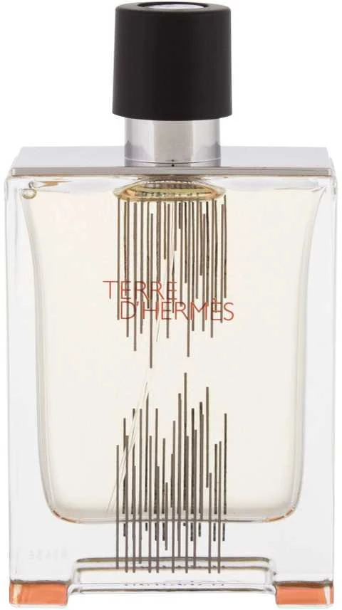 Hermes Terre d'Hermes Flacon H Limited Edition EDT tualetinis vanduo vyrams, 100 ml