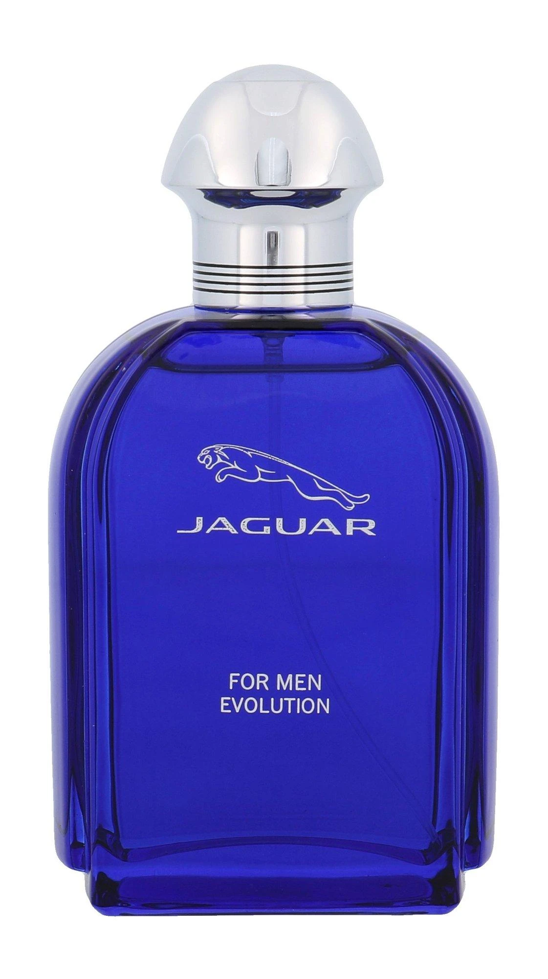 Kvepalai vyrams Jaguar Evolution EDT, 100 ml