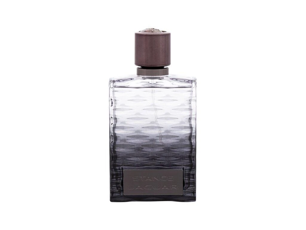 Jaguar Stance EDT tualetinis vanduo vyrams, 100 ml