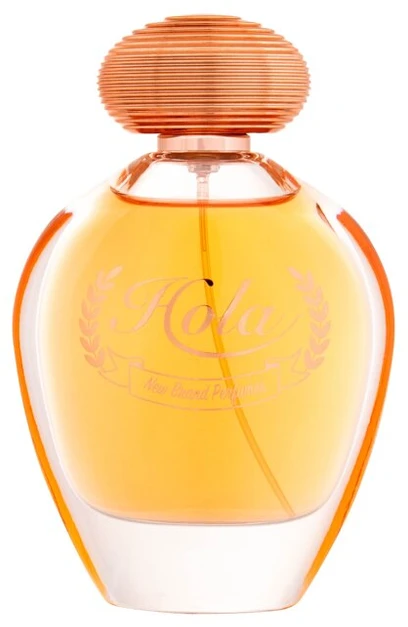 New Brand Parfums New Brand Prestige Hola EDP parfumuotas vanduo moterims, 100 ml