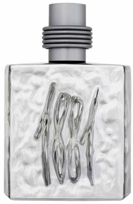 Nino Cerruti Cerruti 1881 Sidabrinis EDT tualetinis vanduo vyrams, 100 ml