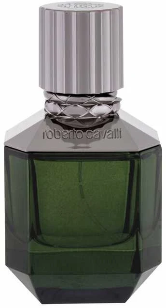 Roberto Cavalli Paradise Found EDT tualetinis vanduo vyrams, 50 ml