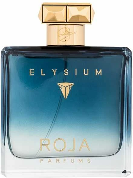 Roja Parfums Elysium Pour Homme Cologne Eau De Parfum odelokolonas vyrams, 100 ml