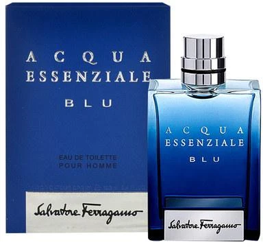 Salvatore Ferragamo Acqua Essenziale Blu EDT tualetinis vanduo vyrams, 100 ml