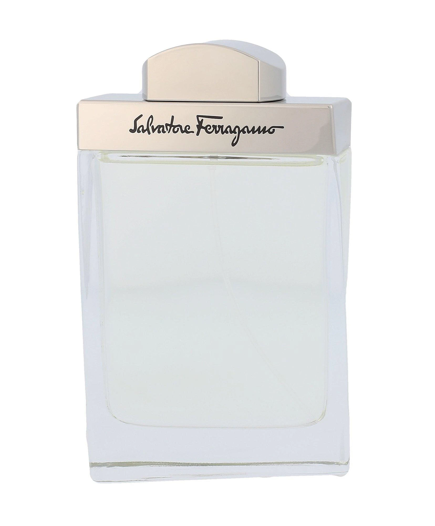 Salvatore Ferragamo Pour Homme EDT tualetinis vanduo vyrams, 100 ml