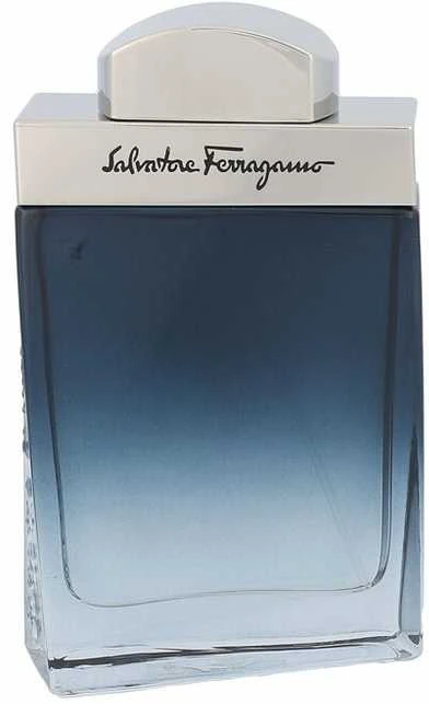 Salvatore Ferragamo Subtil Pour Homme EDT tualetinis vanduo vyrams, 50 ml