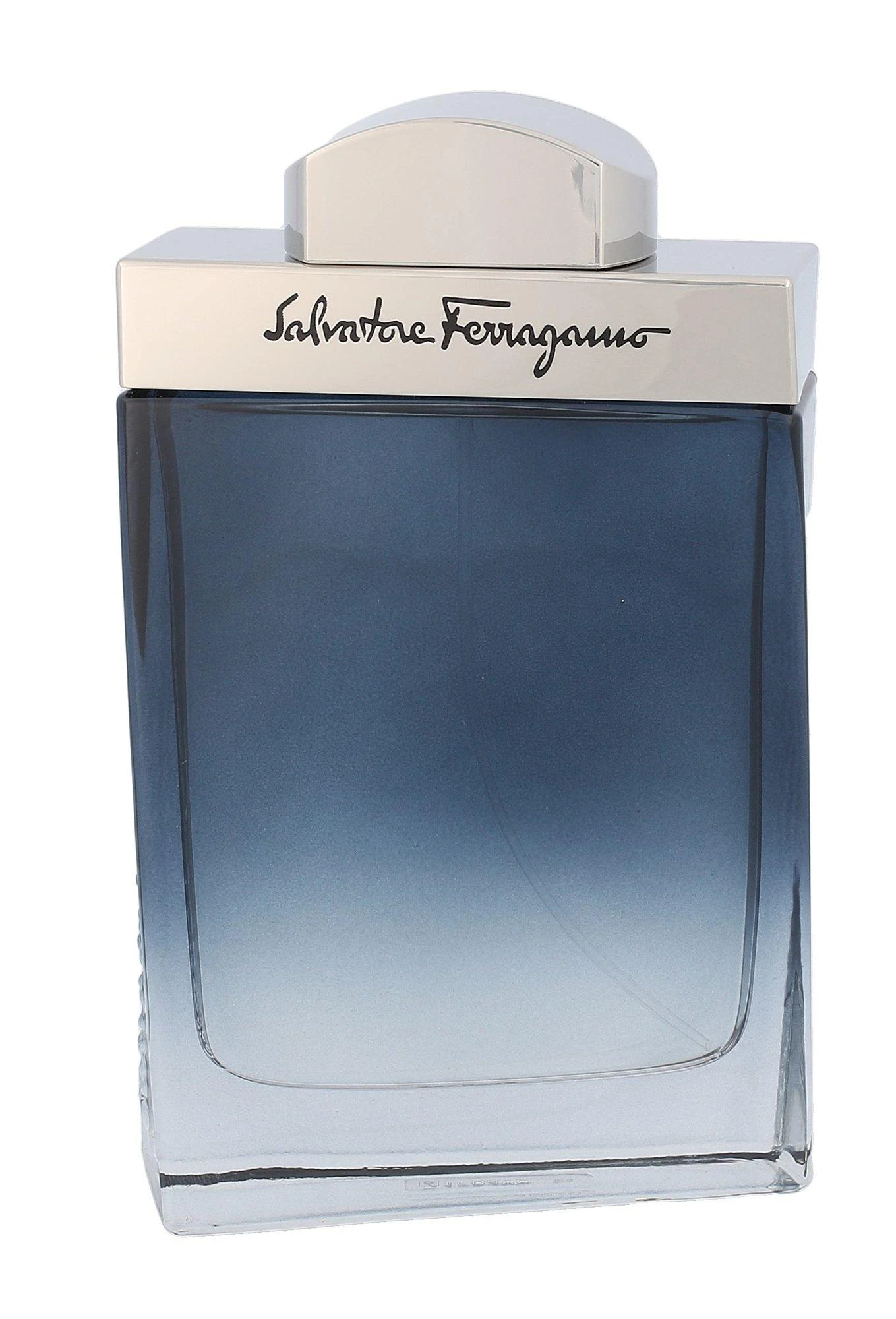 Salvatore Ferragamo Subtil Pour Homme EDT tualetinis vanduo vyrams, 100 ml