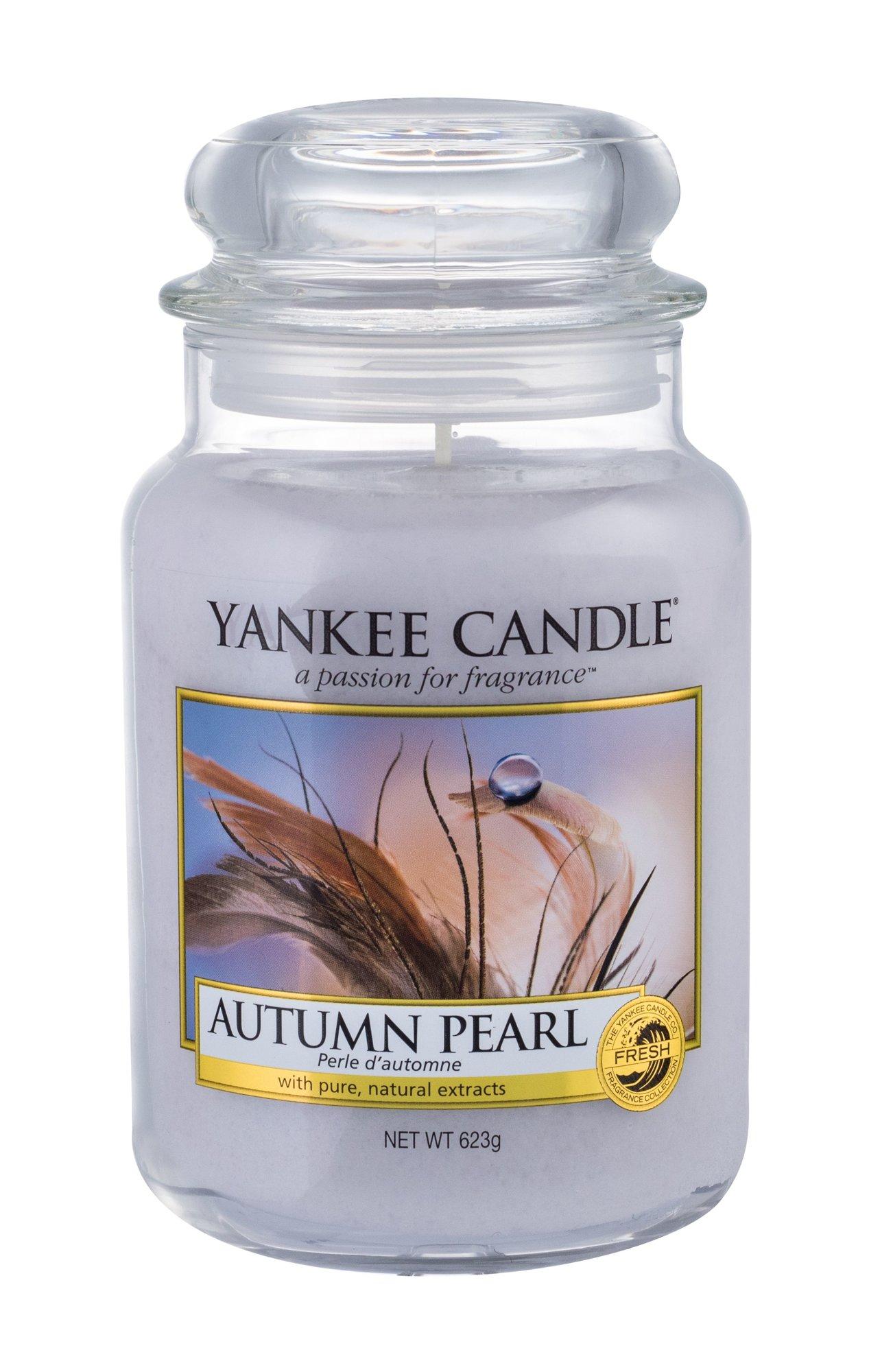 Yankee Candle Autumn Pearl Scented Candle, 623 g