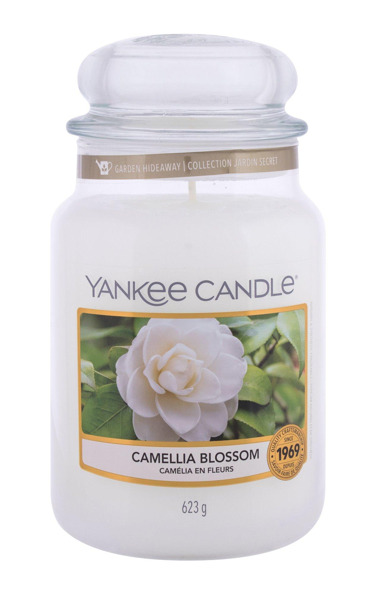 Yankee Candle Camellia Blossom Scented Candle, 623 g