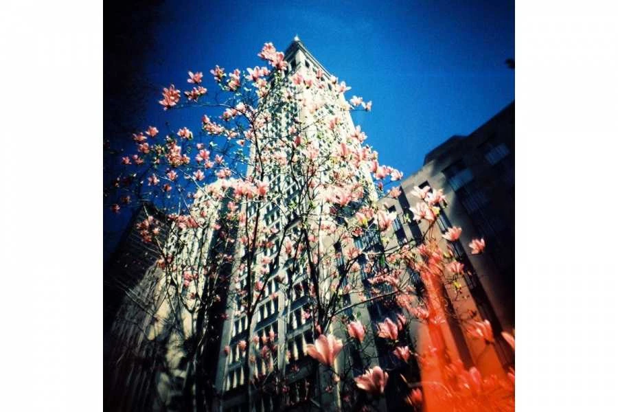 Lomographische Ag Lomography fotoaparatas Diana F+ min NAMIi, su blykste (135 formato) [D]