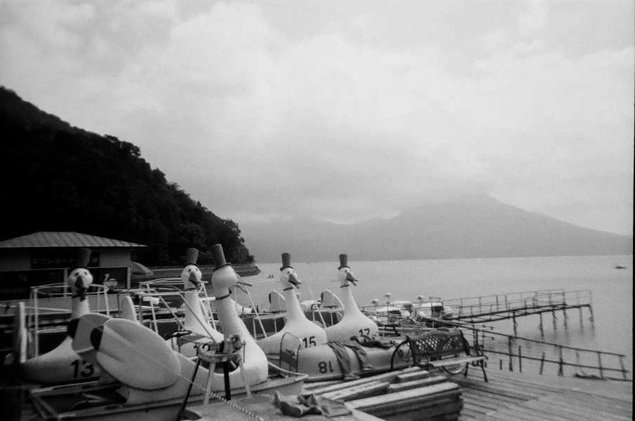Lomographische Ag LOMOGRAPHY LADY Pilkas B&amp;W 400/36 ISO 3PCS 135 FILM