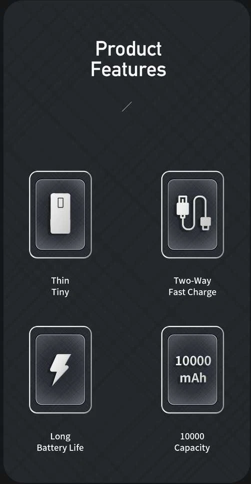 AWEI PowerBank P5K 10000mAh 2.1A juodos spalvos 2xUSB