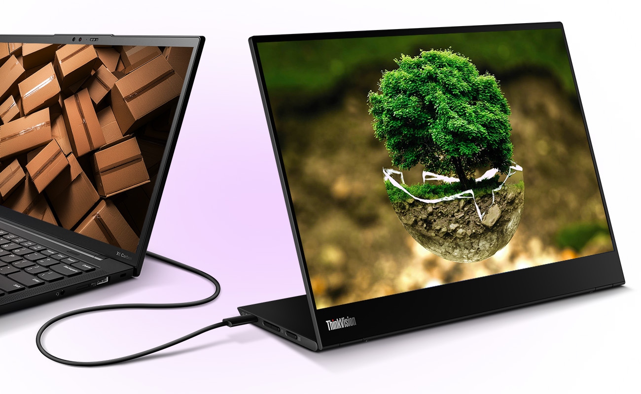Monitorius Lenovo ThinkVision M14t Gen 2 | 14