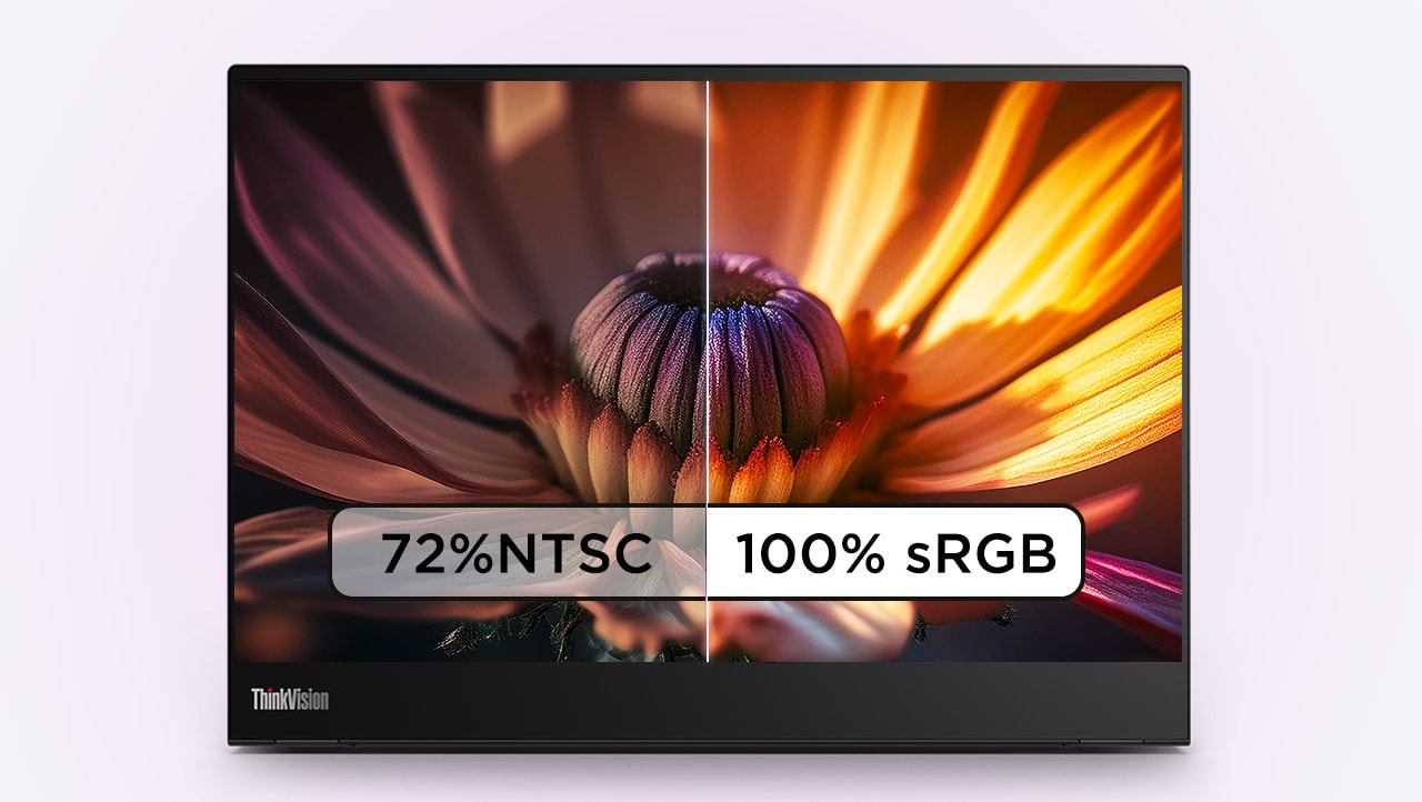Monitorius Lenovo ThinkVision M14t Gen 2 | 14