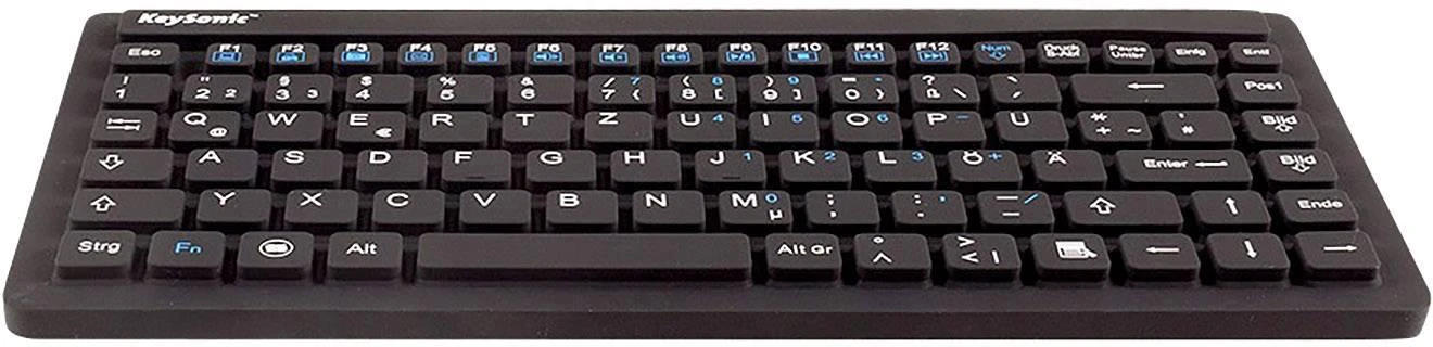 RaidSonic KeySonic KSK-3230IN (DE) klaviatūra Universalus USB QWERTZ German Juodas
