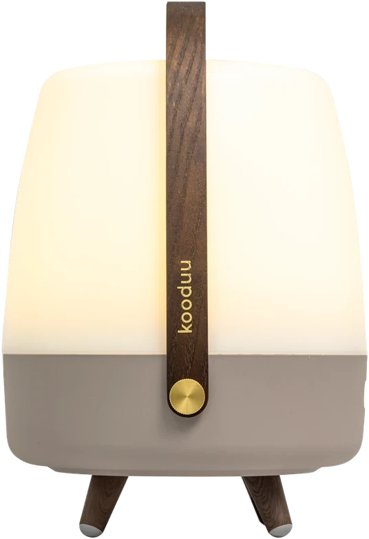 Nešiojama garso kolonėlė su apšvietimu Sound by JBL Kooduu Lite-up PLAY 2.0, spalva: ruda