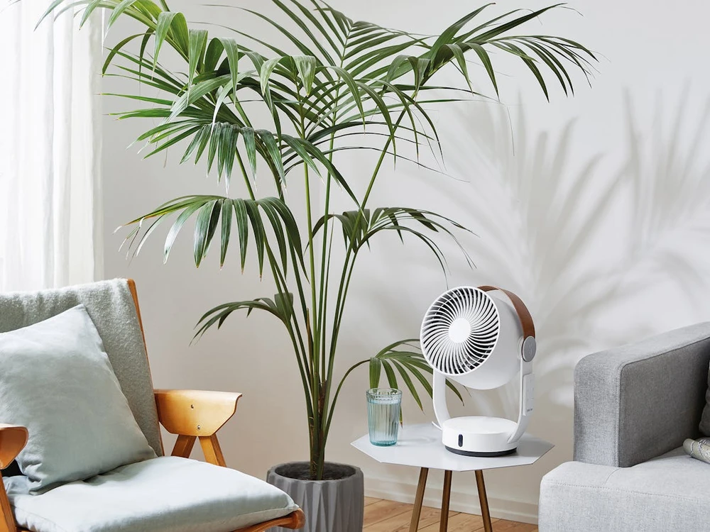 Ventiliatorius Stadler form Fan Leo Table Fan, Timer, Greičių skaičius 4, 18 W, Oscillation, Baltas