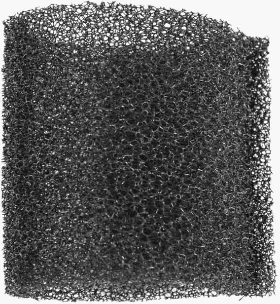 Filtras kempinė ASP 15/20/30/50ES - 5pcs, Scheppach