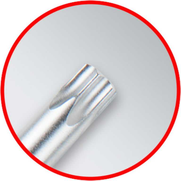 L- raktų komplektas TORX ,T8-T50, 10vnt, ilgi, KS Tools