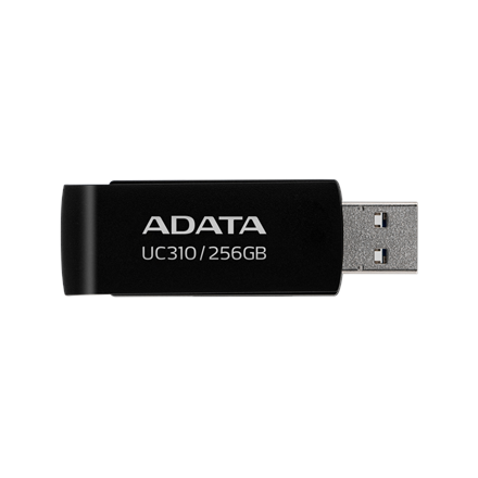 USB laikmena ADATA UC310, 256 GB