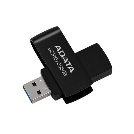 USB laikmena ADATA UC310, 256 GB