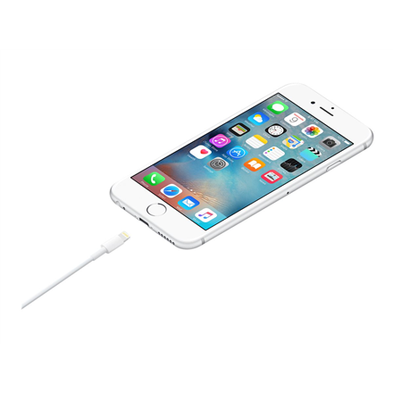 Apple iš Lightning į USB laidas (1m), Modelis A1480