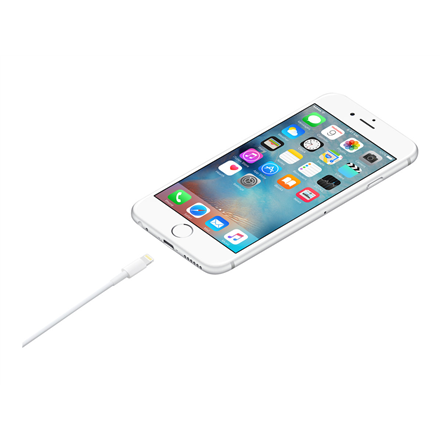 Apple iš Lightning į USB laidas (0.5 m) ME291ZM/A 