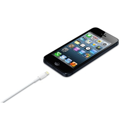 Apple iš Lightning į USB laidas (0.5 m) ME291ZM/A 