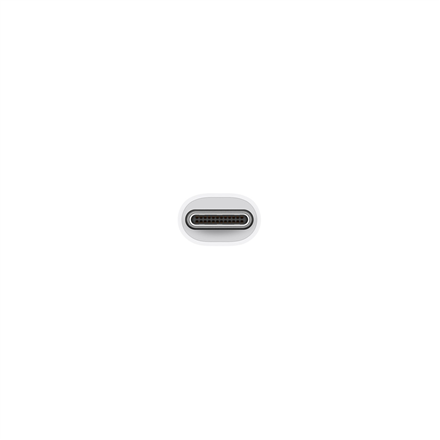 Apple USB-C skaitmeninis VGA kelių prievadų adapteris