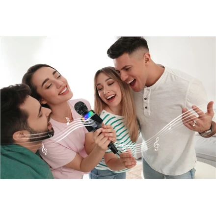 Gembird | Belaidis karaoke mikrofonas | MICBT-01-BK