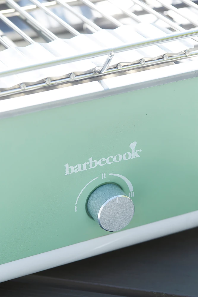 Elektrinis grilis Barbecook E-Carlo, 2500 W, Žalias