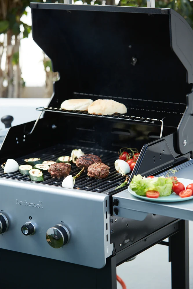 Dujinė lauko kepsninė Barbecook Spring 2002 | BC-GAS-2009