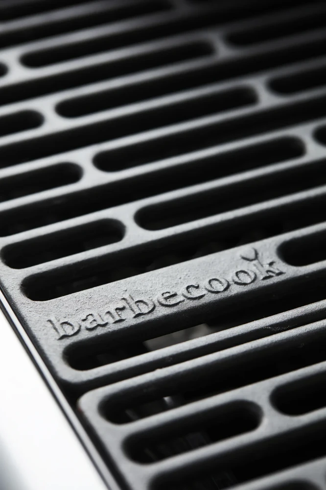 Dujinė lauko kepsninė Barbecook Spring 2002 | BC-GAS-2009