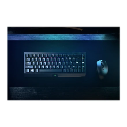 Belaidė 65% Klaviatūra Razer BlackWidow V3 Mini HyperSpeed su Razer Chroma RGB, Green Switch, US išdėstymas