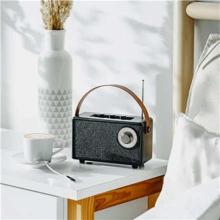 Camry | Speaker with radio | CR 1902 B | Juodas | Belaidė jungtis