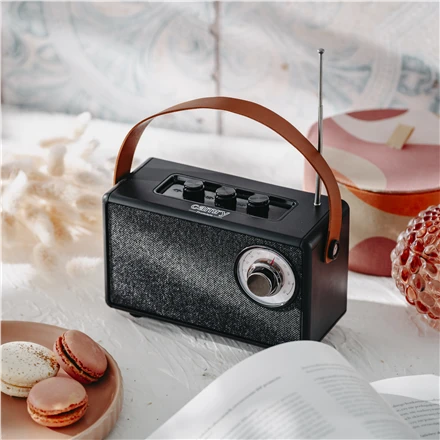 Camry | Speaker with radio | CR 1902 B | Juodas | Belaidė jungtis
