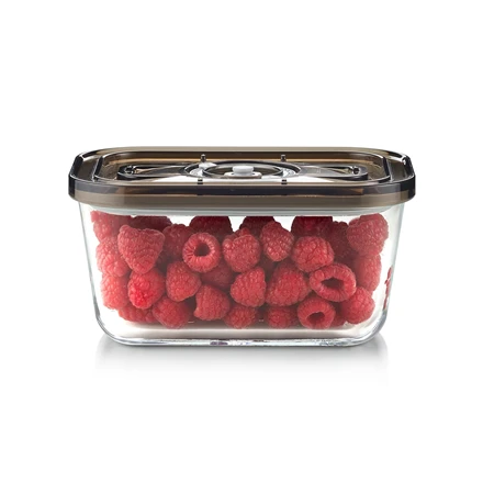 Caso stiklinis vakuuminis indas su plastikiniu dangteliu | VacuBoxx Eco M | Skaidrus