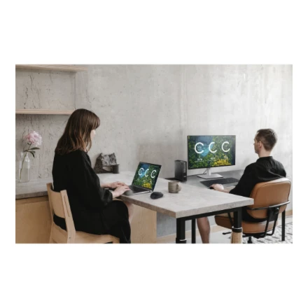 Dell Pro 24 Plus QHD USB-C Hub Monitorius - P2425DE, 60.5cm (23.8")