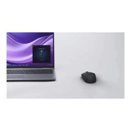 Dell Tyli pelė - MS355