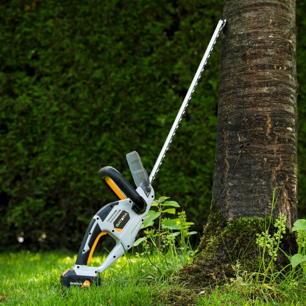 Batavia 18 V akumuliatorinės gyvatvorių žirklės, 560 mm aprašymas - Prekės nuotrauka