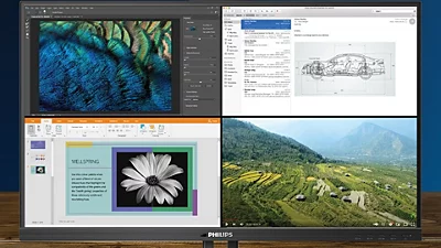 Monitorius Philips 439P1/00, 42.5