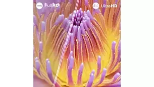 Televizorius Philips LED 4K 55PUS7000/12 | 55