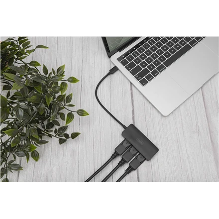 Digitus Skaitmenas | 3 prievadų MST vaizdo šakotuvas (USB-C-3x DisplayPort) | DS-45334